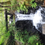 Brilliant site - Review of Elan Oaks Camping & Caravan Site, Rhayader, Wales - Tripadvisor