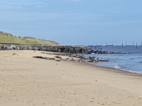 Great experience - Review of Waxham Sands Holiday Park, Horsey, England - Tripadvisor