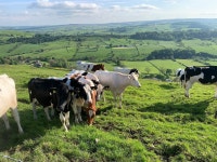 Amazing set of cottages - Review of Wheeldon Trees Cottages, Buxton, England - Tripadvisor