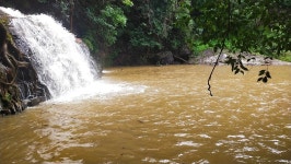 Wonderful place to commune with nature - Review of River Mist Resort, Madugundi, India - Tripadvisor