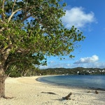 My first ever solo travel - Review of The Lazy Dog Bed & Breakfast, Balabag, Philippines - Tripadvisor