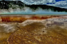 2025 Yellowstone Wildlife and Photo Upper Loop Tour West Yellowstone - with Trusted Reviews 2025 Yellowstone Wildlife and Photo... 