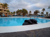 Another wonderful stay! - Review of Hotel Beatriz Playa & Spa, Puerto Del Carmen, Spain - Tripadvisor
