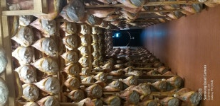 CONTI PROSCIUTTI, Pastorello - Restaurant Reviews, Photos & Phone Number - Tripadvisor