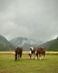 MONTANAS COUNTRY CAFE, Marble - Restaurant Reviews, Photos & Phone Number - Tripadvisor MONTANAS COUNTRY CAFE‎, Marble... 