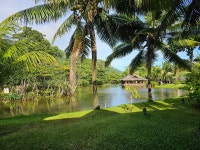 Lovely stay at Story - Review of Story Seychelles, Beau Vallon, Seychelles - Tripadvisor