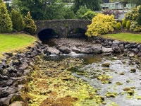 Beautiful week - Review of Drimsynie Estate Holiday Village, Cairndow, Scotland - Tripadvisor