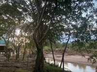 Incredible - Review of Mara Simba Lodge, Mara Simba, Kenya - Tripadvisor