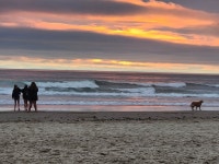 Summer beach trip - Review of Inn at Wecoma Lincoln City, Lincoln City, OR - Tripadvisor