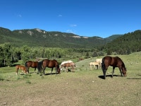 A special vacation - Review of Rainbow Trout Ranch, Antonito, CO - Tripadvisor