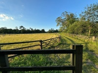 Great place to rest nestled in the country - Review of Church Farmhouse B&B, Bury St. Edmunds, England - Tripadvisor