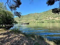 Vineyard get away - Review of Ventozelo Hotel & Quinta, Ervedosa do Douro, Portugal - Tripadvisor