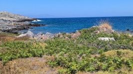 Paradise!! - Review of Nanakis Beach, Stavros, Greece - Tripadvisor