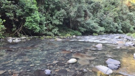 10/10 reccomend staying at Cabins in the Clouds! - Review of Cabins in the Clouds, Vacy, Australia - Tripadvisor