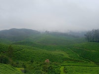 Thank u the leaf resort given a memorable moment - Review of The Leaf Munnar Resort, Chithirapuram, India - Tripadvisor