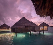 One of the best experiences of our lives! - Review of The St. Regis Bora Bora Resort, Bora Bora, French Polynesia - Tripadvisor
