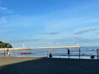 Great vacation with family and our pets - Review of Anantasila Beach Resort Hua Hin, Nong Kae, Thailand - Tripadvisor