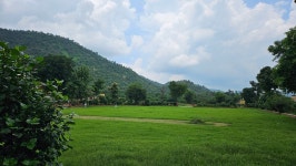 Serene place in Rajasthan - Review of Ratan Villas Sariska, Alwar, India - Tripadvisor