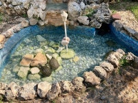 Beautiful surroundings on playa Norte beach. - Review of Nautibeach Condos, Isla Mujeres, Mexico - Tripadvisor