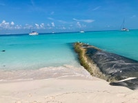 Beautiful surroundings on playa Norte beach. - Review of Nautibeach Condos, Isla Mujeres, Mexico - Tripadvisor