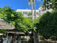 Great Hotel - Review of Veronica Hotel, Paphos, Cyprus - Tripadvisor