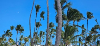 Our 1st holiday together, and time to relax. - Review of Sunscape Coco Punta Cana, Cabeza De Toro, Dominican Republic - Tripadvisor