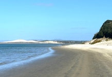 Awesome spot. So much to do in the area. - Review of Mangawhai Heads Holiday Park, Mangawhai, New Zealand - Tripadvisor