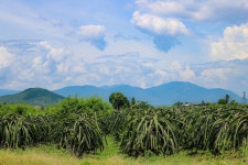 2025 Small Group Half Day Tour to Cu Chi Tunnels (Ho Chi Minh City) - w/ Reviews 2025 Small Group Half Day Tour to Cu Chi Tunnels... 