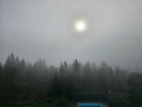A peaceful place near Oslo - Review of Voksenasen Hotel, Oslo, Norway - Tripadvisor