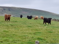 Hen weekend - Review of Burmieston, Logiealmond, Scotland - Tripadvisor