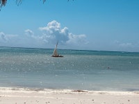 Zanzibar 2024… this holiday has been for many years on our agenda and this year we made it. Our choice exceptional. - Review of... 