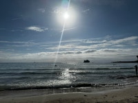 Amazing food, great, clean, comfortable, friendly hotel! - Review of Protur Palmeras Playa Hotel, Sa Coma, Spain - Tripadvisor