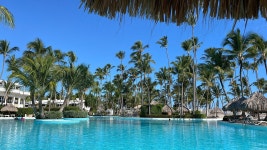 Amazing! - Review of Melia Punta Cana Beach, Bavaro, Dominican Republic - Tripadvisor