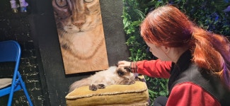 Munchies Craft | Cat Cafe & Bar, 브라이턴 - 레스토랑 리뷰 - 트립어드바이저