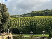 Almost great - Review of Hotel Villa Campomaggio Resort & Spa, Radda in Chianti, Italy - Tripadvisor