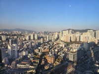 One of few good ones - 그랜드 머큐어 앰배서더 호텔 앤 레지던스 서울 용산, 서울, 대한민국의 리뷰 - 트립어드바이저