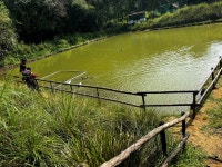 Great resort and resort also offered so many in-house activity, definitely go for it - Review of Coorg Wilderness Resort & Spa... 