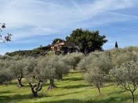 Glorious, welcoming resort with fabulous food and wine. - Review of Conti di San Bonifacio Wine Resort, Gavorrano, Italy... 