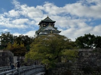Ritz Carlton Osaka is exceptional!! - Review of The Ritz-Carlton, Osaka, Osaka, Japan - Tripadvisor