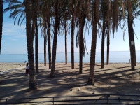 Excellent stay. - Review of TRH Mijas, Mijas, Spain - Tripadvisor