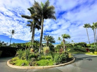 Wailea Elua Village - Review of Wailea Elua Village, Wailea, HI - Tripadvisor
