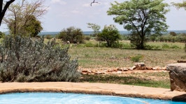 luxury on the safari - Review of Kwafubesi Tented Safari Camp, Mabula Private Game Reserve, South Africa - Tripadvisor