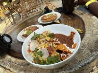 Nothing Wild, Peace & Quiet - Review of The Yellow Nest, Tulum, Mexico - Tripadvisor