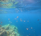 Wonderful stay with family - Review of Anantara Kihavah Maldives Villas, Kihavah Huravalhi, Maldives - Tripadvisor