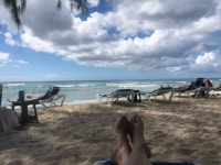 Great resort in general but food issues and maintenance lose it a star - Review of Savannah Beach Club Hotel & Spa, Garrison... 