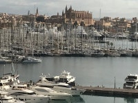 The rooms, the beds, the pillows and sheets along with room service was the best. - Review of Melia Palma Marina, Palma de... 