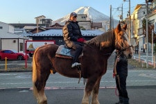 2025 Horse Carriage Ride with Mt. Fuji Views (Fujiyoshida) - with Trusted Reviews 2025 Horse Carriage Ride with Mt. Fuji Views... 