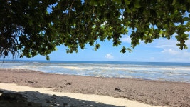 Hidden gem in Msambweni - Review of Msambweni Beach House, Msambweni, Kenya - Tripadvisor