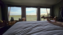 Incredible experience in the middle of the Delta - Review of Karangoma - Wild Expeditions Africa, Gundingwa, Botswana - Tripadvisor