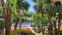 This place is the hidden gem of the Florida Keys! - Review of Hampton Inn Key Largo, Fl, Key Largo, FL - Tripadvisor